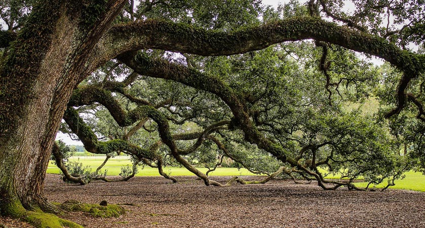 免费DDOS攻击测试工具